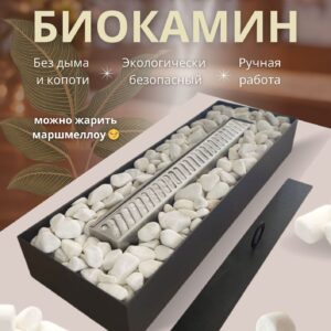 Биокамин